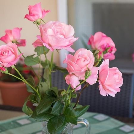 Apartment Timea Dubrovnik Luaran gambar