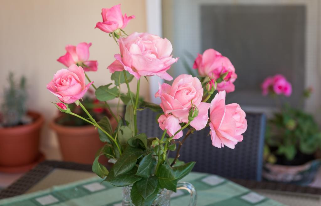 Apartment Timea Dubrovnik Luaran gambar